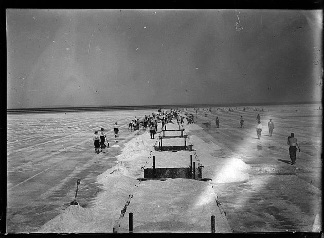 Trabajadores Saleros